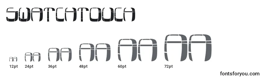 SwatchTouch Font Sizes