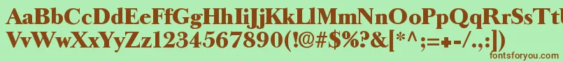 Longislandantiqua Font – Brown Fonts on Green Background