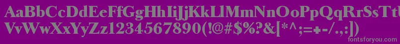 Longislandantiqua Font – Gray Fonts on Purple Background