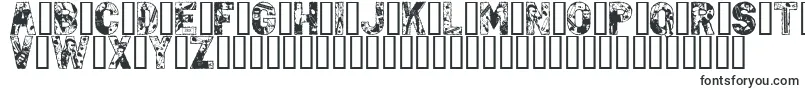 PunkRock-Schriftart – Schriften für Adobe