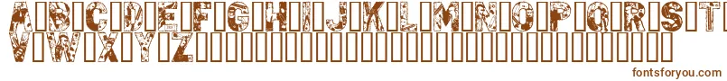 PunkRock Font – Brown Fonts on White Background