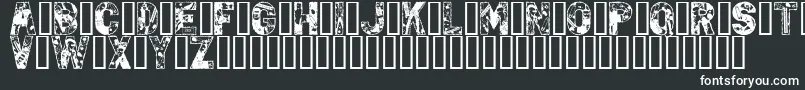 PunkRock-Schriftart – Weiße Schriften auf schwarzem Hintergrund