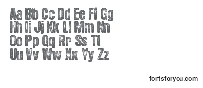 HotelCoralEssex Font