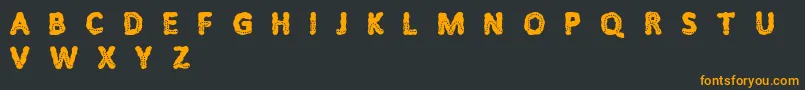 フォントLitfibold – 黒い背景にオレンジの文字