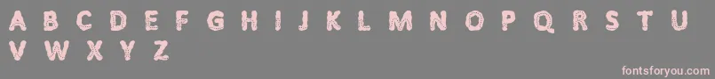 Litfibold Font – Pink Fonts on Gray Background