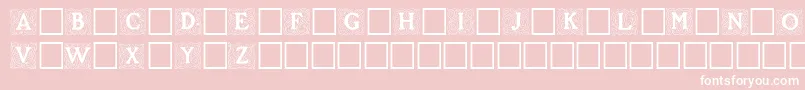 RoycroftInitials Font – White Fonts on Pink Background