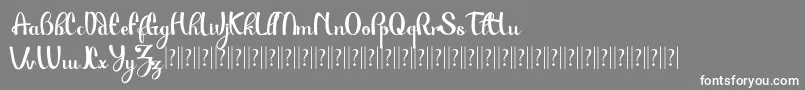 PauloPacito Font – White Fonts on Gray Background