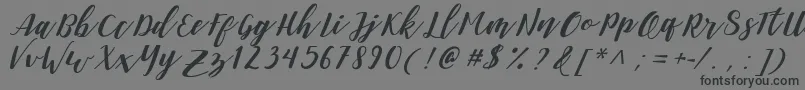 フォントDanieshaForPersonalUse – 黒い文字の灰色の背景