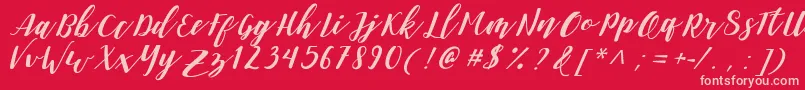 DanieshaForPersonalUse Font – Pink Fonts on Red Background