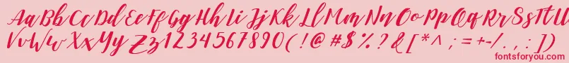 DanieshaForPersonalUse Font – Red Fonts on Pink Background