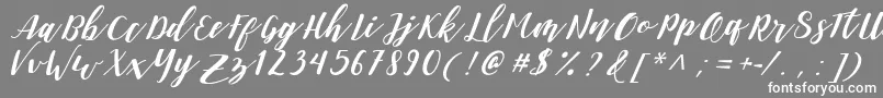 DanieshaForPersonalUse Font – White Fonts on Gray Background