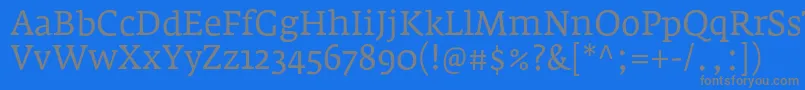 フォントFedraserifaproBook – 青い背景に灰色の文字