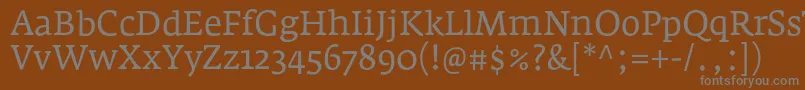 フォントFedraserifaproBook – 茶色の背景に灰色の文字