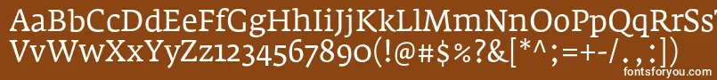 FedraserifaproBook Font – White Fonts on Brown Background