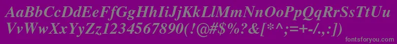 Nimbusromno9lMedita Font – Gray Fonts on Purple Background