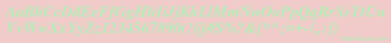 Nimbusromno9lMedita Font – Green Fonts on Pink Background