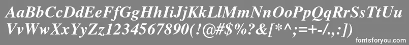 フォントNimbusromno9lMedita – 灰色の背景に白い文字