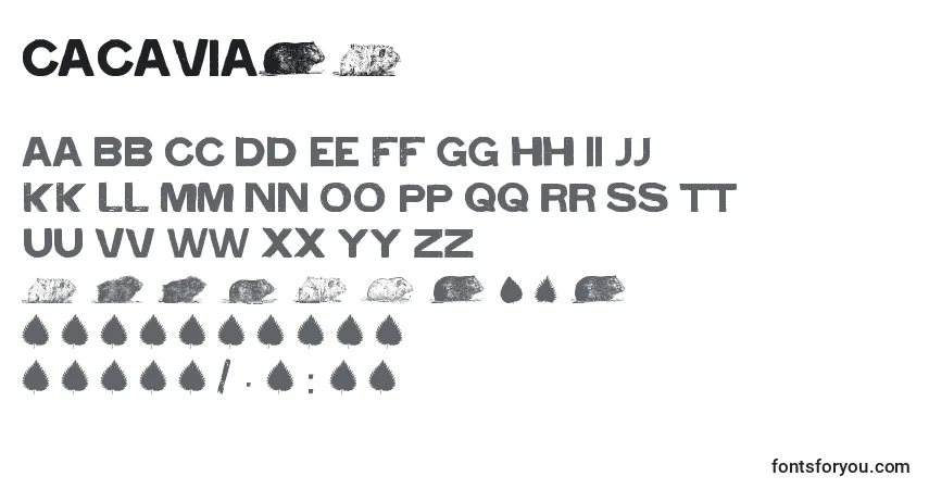 Czcionka Cacavia01 – alfabet, cyfry, specjalne znaki