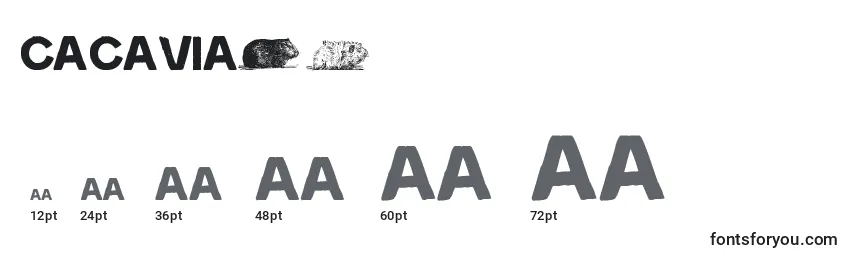 Größen der Schriftart Cacavia01