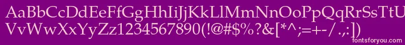 TexgyrepagellaRegular Font – Pink Fonts on Purple Background