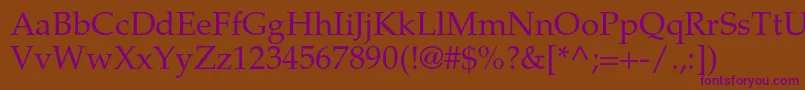 TexgyrepagellaRegular Font – Purple Fonts on Brown Background