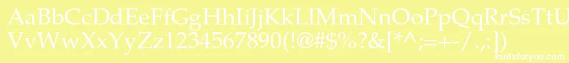 TexgyrepagellaRegular Font – White Fonts on Yellow Background