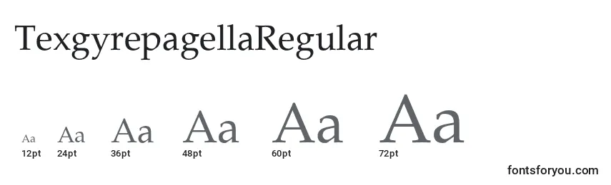 TexgyrepagellaRegular Font Sizes