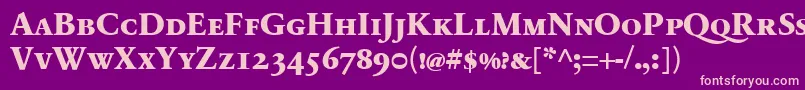 SabonnextLtExtraboldSmallCaps Font – Pink Fonts on Purple Background