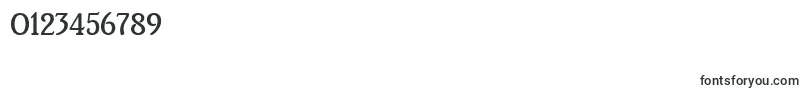BrightonMediumPlain Font – Fonts for Numbers and Digits