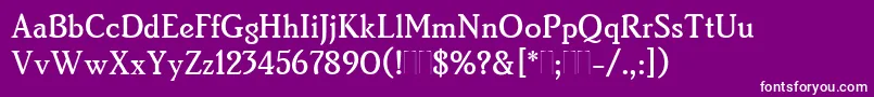 BrightonMediumPlain Font – White Fonts on Purple Background