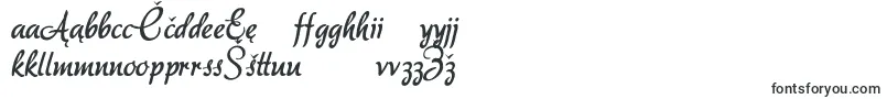 More about Akadora Font Akadora Font – Lithuanian Fonts