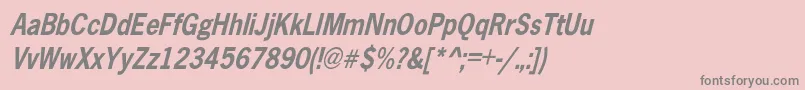 AbellCondensedBoldOblique Font – Gray Fonts on Pink Background