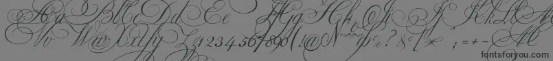 Ekaterinavelikayaone-Schriftart – Schwarze Schriften auf grauem Hintergrund