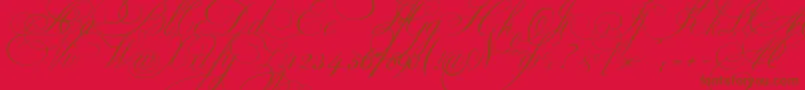 Ekaterinavelikayaone Font – Brown Fonts on Red Background