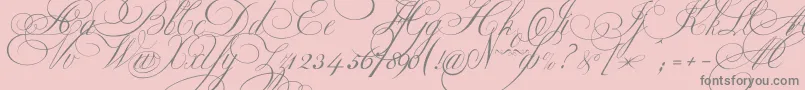 Ekaterinavelikayaone Font – Gray Fonts on Pink Background