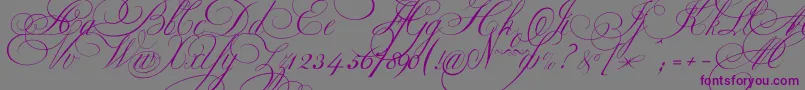 Ekaterinavelikayaone-Schriftart – Violette Schriften auf grauem Hintergrund