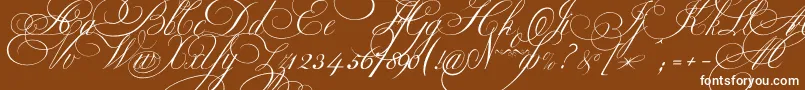 Ekaterinavelikayaone Font – White Fonts on Brown Background