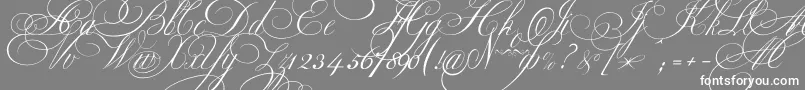 Ekaterinavelikayaone Font – White Fonts on Gray Background