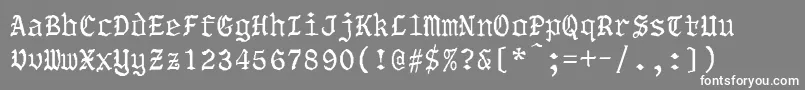 NewWorldBold Font – White Fonts on Gray Background