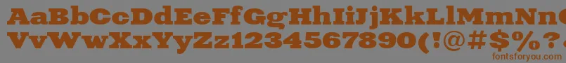 Xeniaextended ffy Font – Brown Fonts on Gray Background