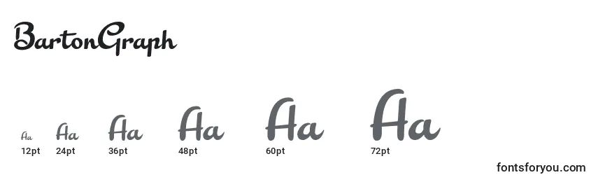 BartonGraph Font Sizes