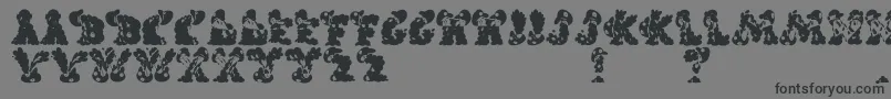 Шрифт CarolsRegular – чёрные шрифты на сером фоне