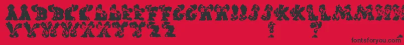 CarolsRegular Font – Black Fonts on Red Background