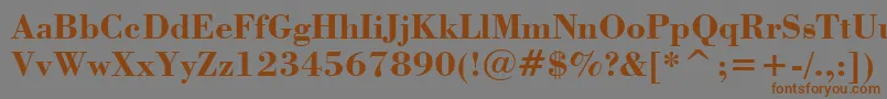 StBodoniBold Font – Brown Fonts on Gray Background