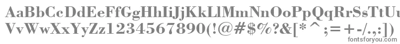 フォントStBodoniBold – 白い背景に灰色の文字