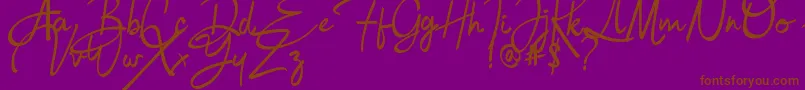 Bulgatti Font – Brown Fonts on Purple Background