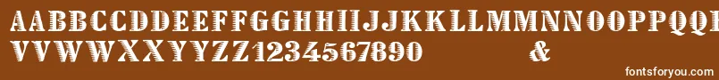 フォントDeclared – 茶色の背景に白い文字