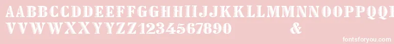 Declared Font – White Fonts on Pink Background