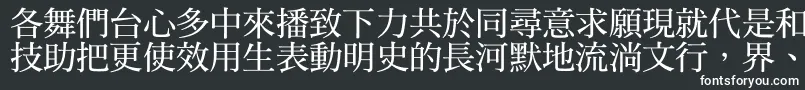 フォントDfmingbold1b – 黒い背景に白い文字