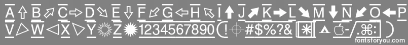 フォントZeal – 灰色の背景に白い文字